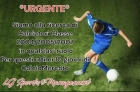 ** URGENT ** - LG Sports&Management